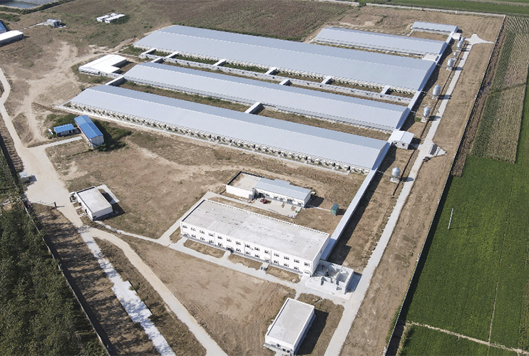 上海正誠首座數(shù)字化養(yǎng)殖示范基地建設(shè)成功