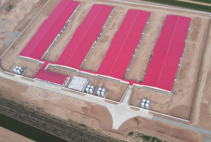 1655357545109804.jpg 2.jpg