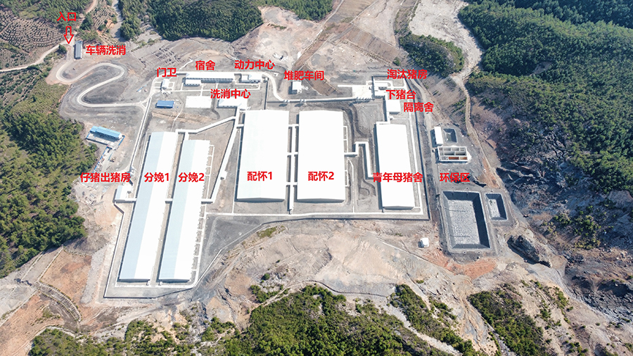 1678327055113999.jpg 豬場分布圖.jpg