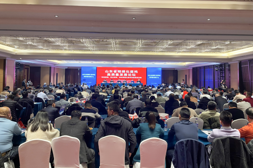 1704953591115768.png QQ截圖20240111140304.png