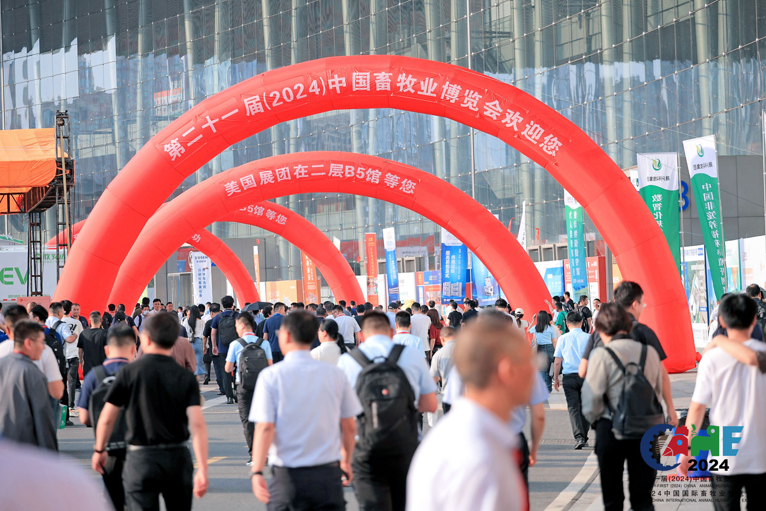 1719196164279534.jpg LKQ_7025.jpg